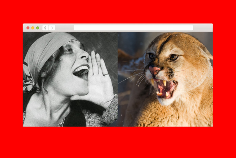 Как человеческий голос разрушает экосистемы