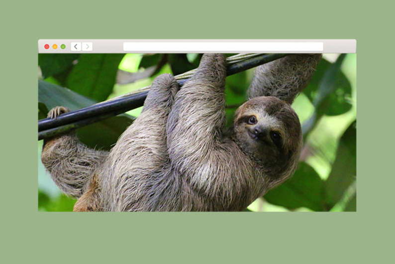 Работайте хорошо, вкалывайте меньше: зачем учиться лениться