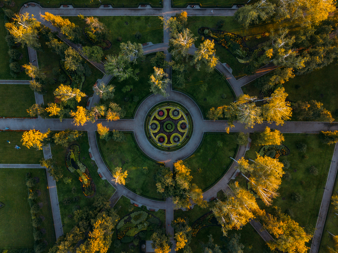 Гены и социум: как эволюция обусловила мир, созданный человеком