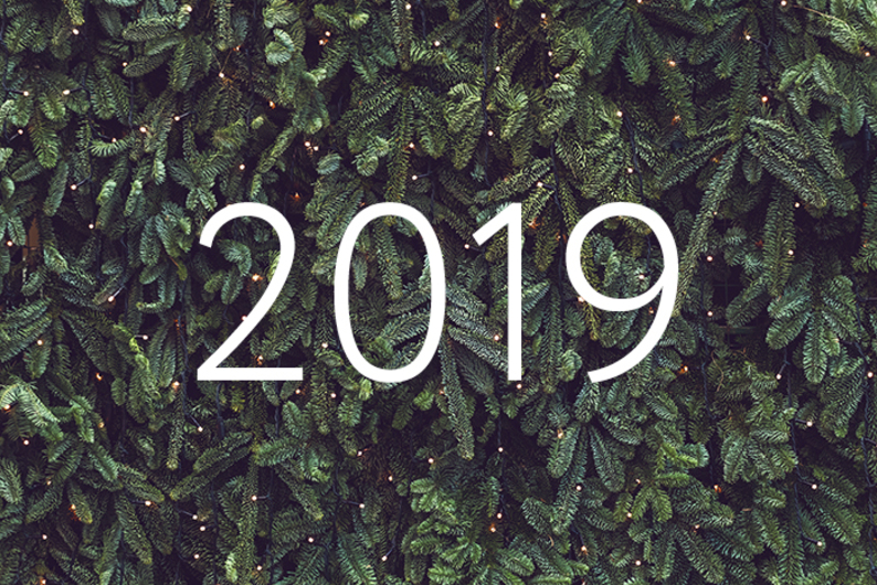 Годичная программа: о чем мы писали в 2019-м