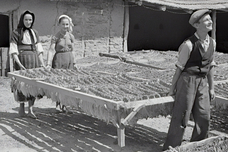 Тест "курильщика": все ли вы знаете о табаке? Тест "курильщика": все ли вы знаете о табаке?