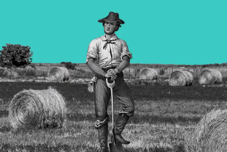 Что такое «революция трудолюбия» и ее особенности на Востоке и Западе Что такое «революция трудолюбия» и ее особенности на Востоке и Западе