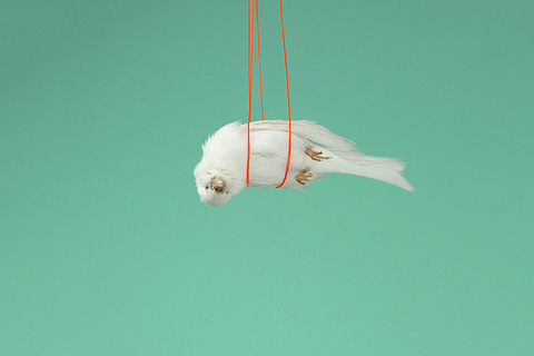 Power 100: *самые сильные и самые слабые в мире искусства*