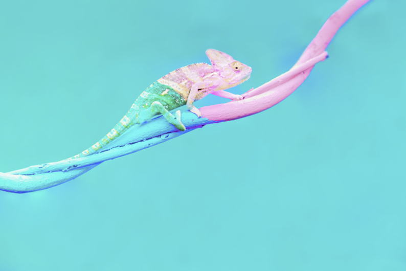 Какие знания и навыки нужны для адаптации к быстро меняющейся среде