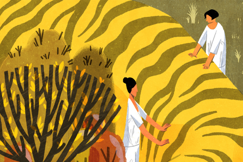 Отпуск с пользой: где можно стать зооволонтером в России Отпуск с пользой: где можно стать зооволонтером в России