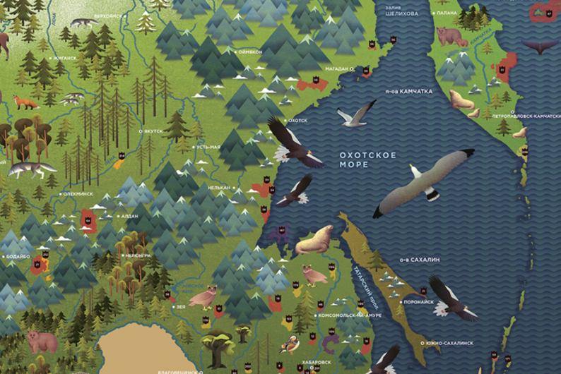 От Калининграда до Сахалина: где провести отпуск этим летом?