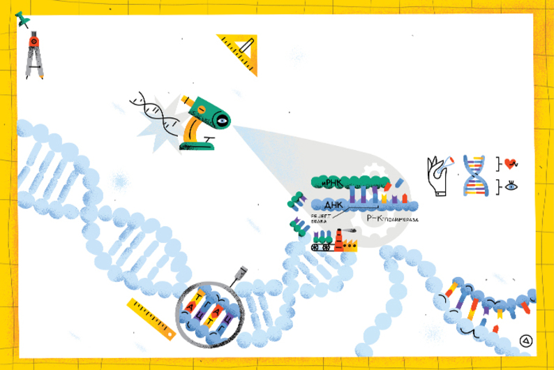 Научный альманах: информация в ДНК