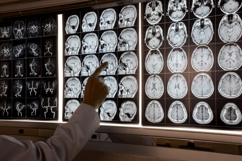 Как изучение нейронауки меняет восприятие мира