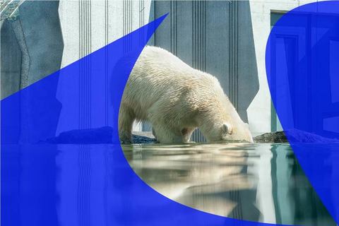 Как избежать климатической катастрофы Как избежать климатической катастрофы