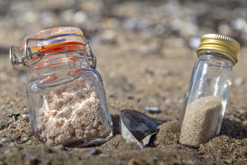 CuanTec: новейшая пищевая упаковка из раковин морепродуктов