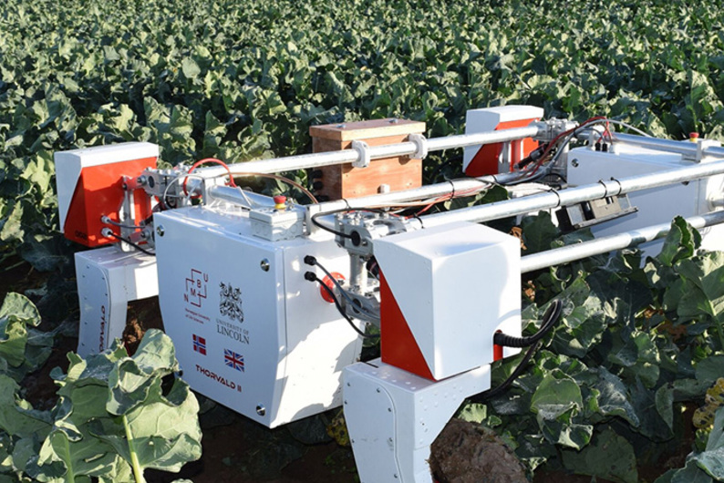 Internet of Food Things: искусственный интеллект для оптимизации cистемы поставки продуктов