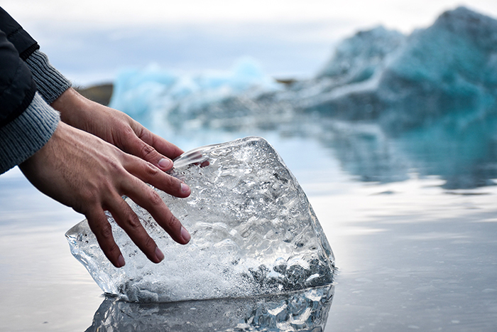 Замерзший во льдах: научное путешествие через Арктику Замерзший во льдах: научное путешествие через Арктику