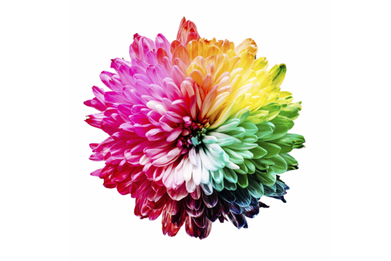 Как быть счастливым каждый день своей жизни