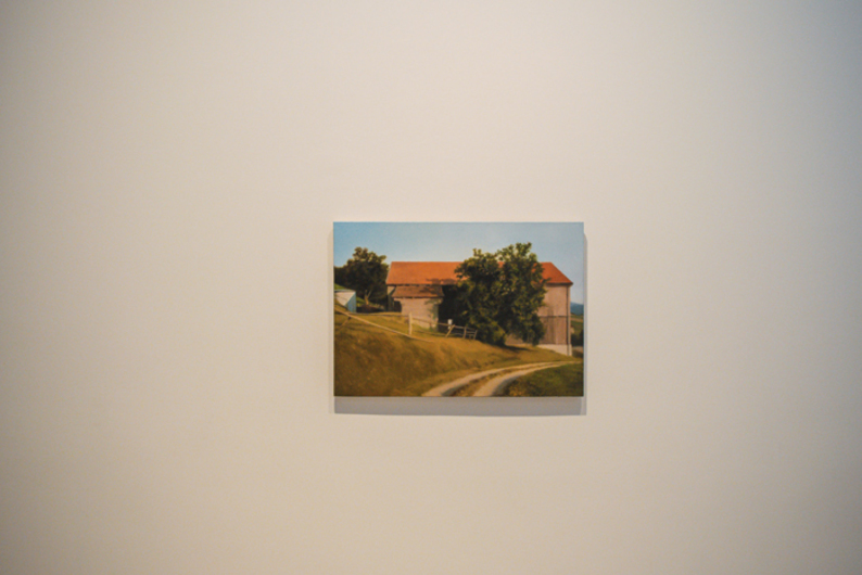 Пейзажи в искусстве: взгляд ботаника