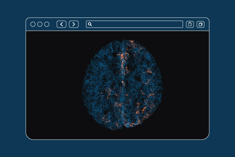 Наглядная визуализация работы мозга Наглядная визуализация работы мозга