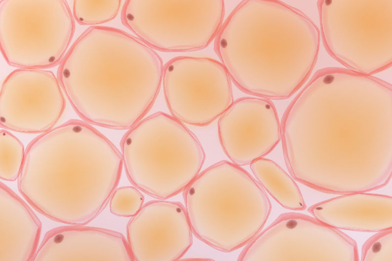 Микробиом кожи: организмы, которые живут прямо на нас