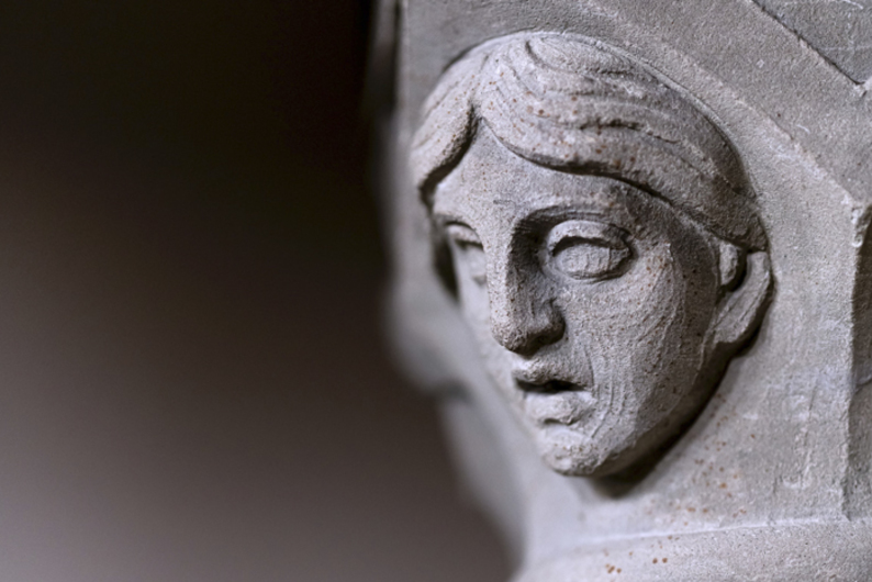 Бей, беги, выживи: что такое страх и чем он полезен Бей, беги, выживи: что такое страх и чем он полезен