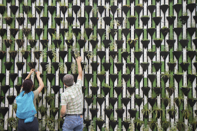 Работать на плантации: волонтерства, на которые можно отправиться уже к весне Работать на плантации: волонтерства, на которые можно отправиться уже к весне