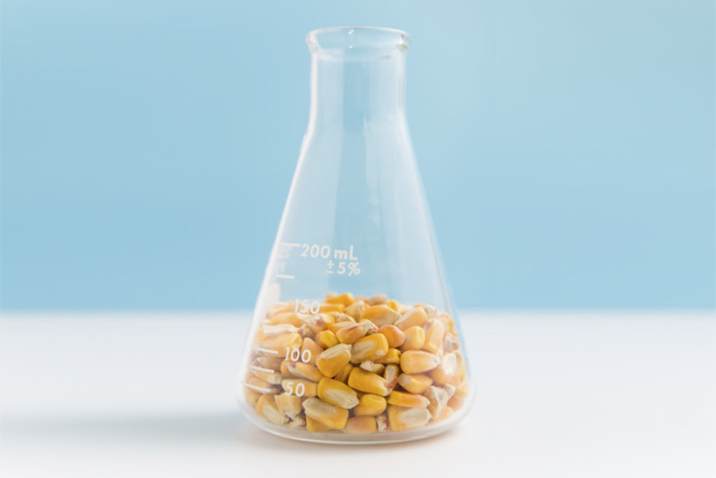 Еще раз про ГМО: молекулярный биолог — о мифах и пользе генно-модифицированных продуктов Еще раз про ГМО: молекулярный биолог — о мифах и пользе генно-модифицированных продуктов