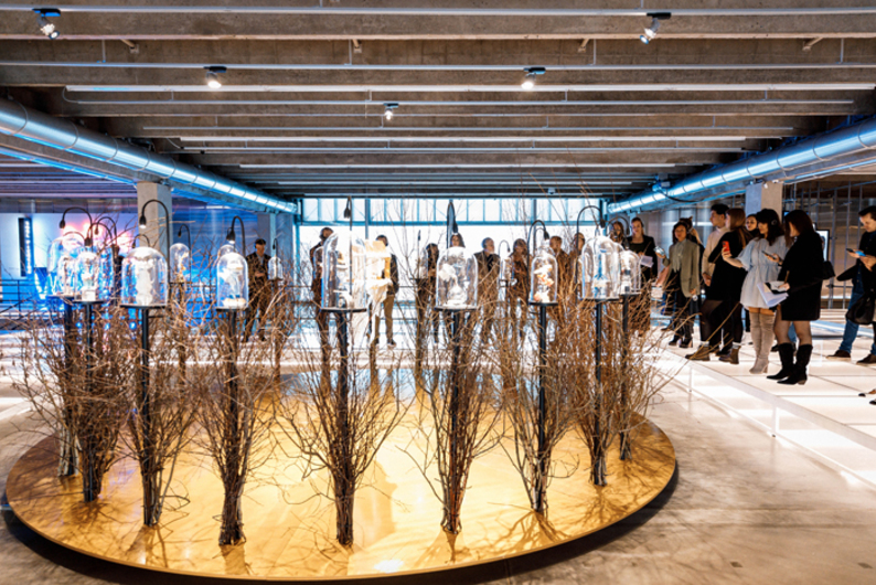 Как в современном искусстве изображается непредсказуемость нового мира