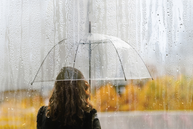 Бремя умных, или Почему дуракам живется легче Бремя умных, или Почему дуракам живется легче