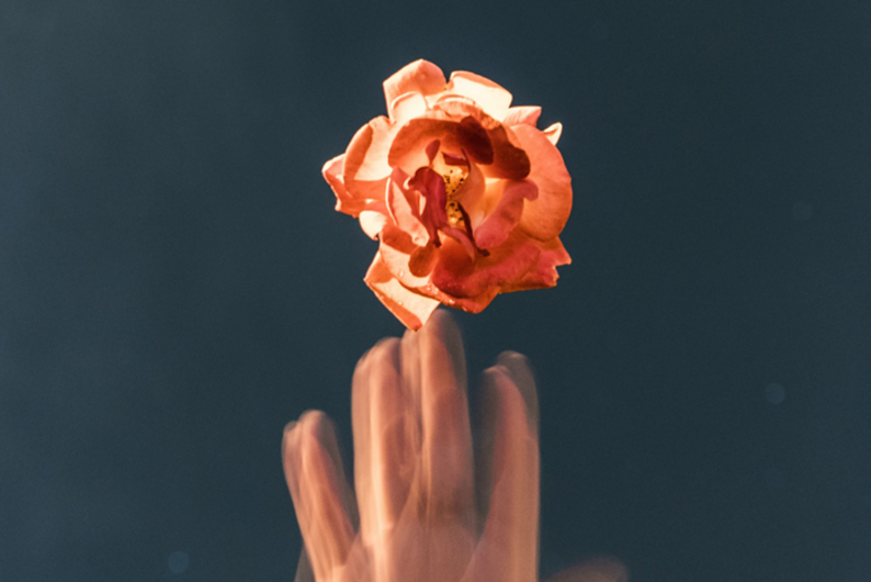 Что такое катарсис и при чем здесь искусство