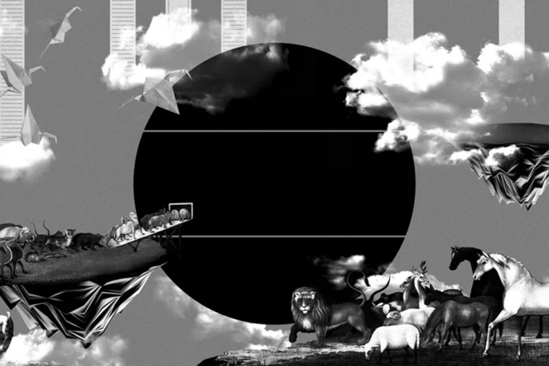 Кинобиографии для вдохновения: наполниться творчеством в осеннюю хандру