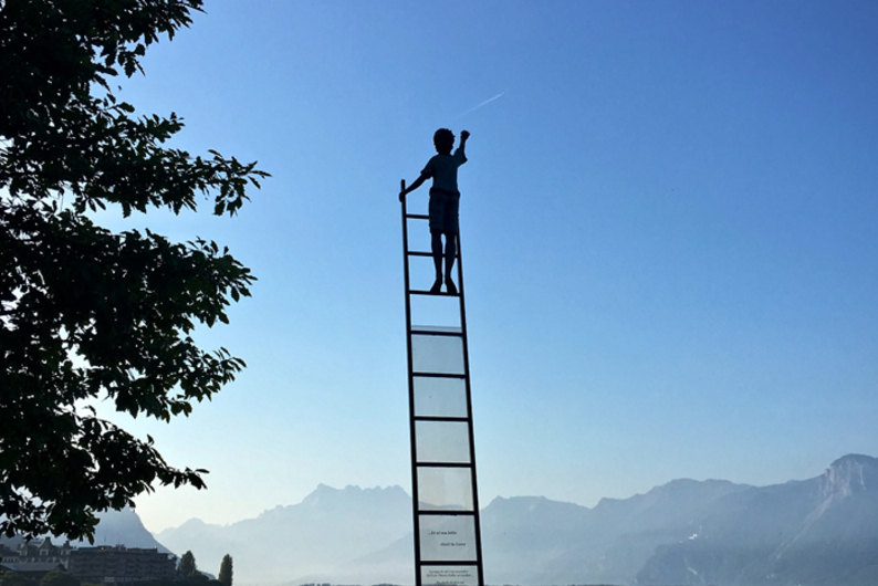 Больше, чем гармония или Что такое Икигаи? 