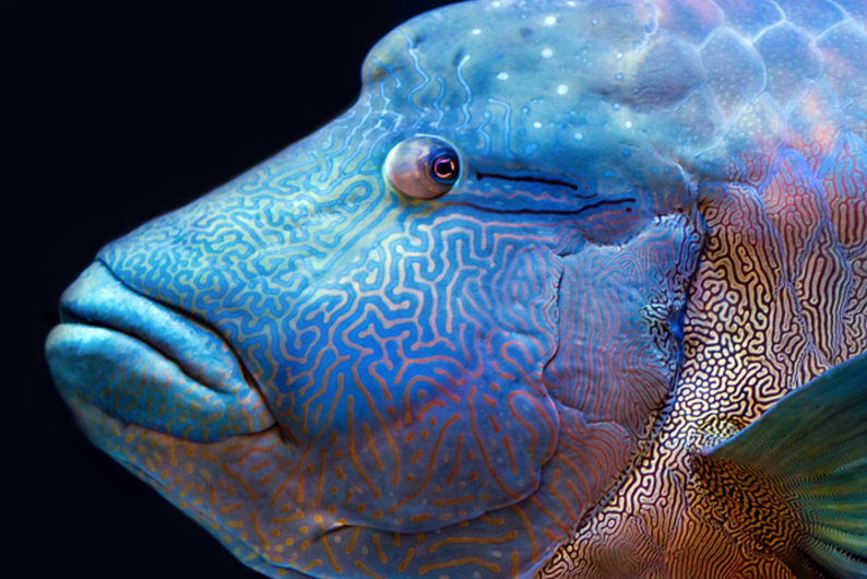 Молчишь как рыба: как общаться с замкнутыми людьми