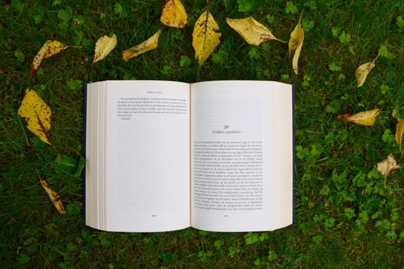 Чтение как ритуал: как читать медленно и не упустить важное Чтение как ритуал: как читать медленно и не упустить важное