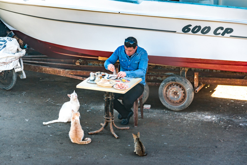 «Рыбов продаете или просто показываете»:  что такое эрративы и зачем они нужны
