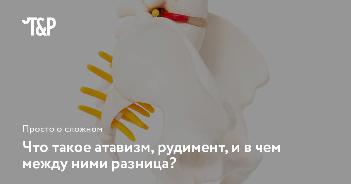 business.theoryandpractice.ru