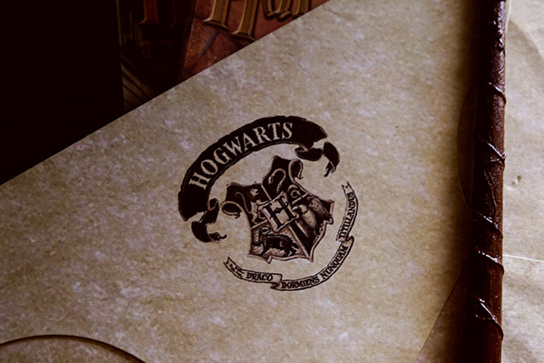 Тайная комната, домовики и фениксы: 7 непопулярных фактов о «Гарри Поттере»