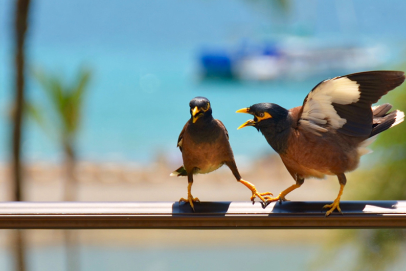 Как распознавать свои чувства и справиться с гневом Как распознавать свои чувства и справиться с гневом