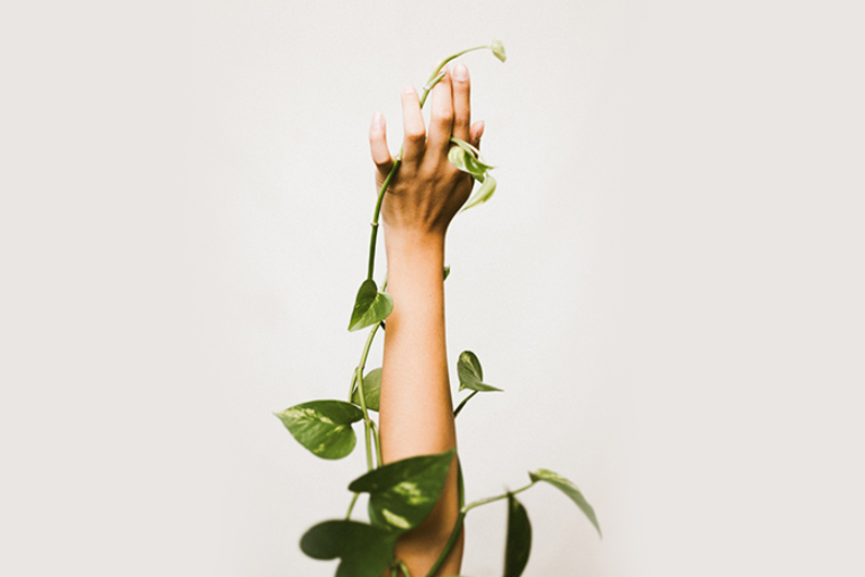 Что такое самосострадание и почему его важно проявлять Что такое самосострадание и почему его важно проявлять