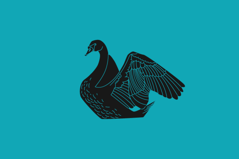 Что такое «черный лебедь» и можно ли предсказать его появление