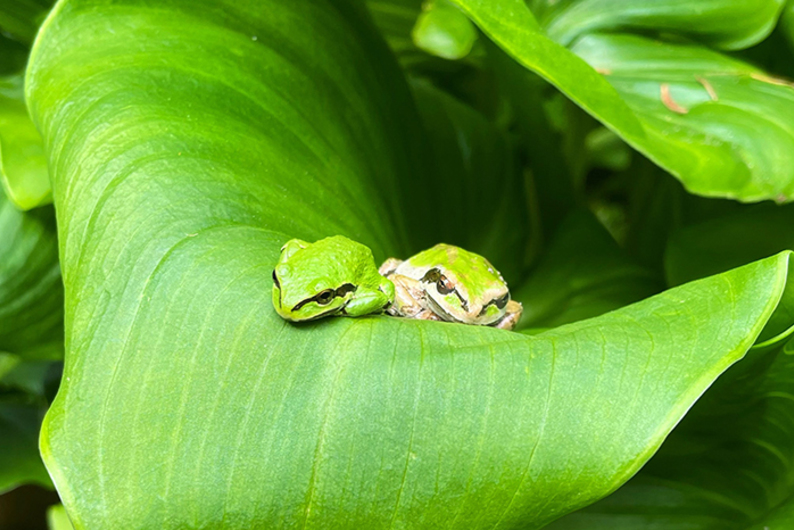 Как изменились предпочтения в выборе партнеров, или Почему сегодня наличие своего терапевта важнее собственного бизнеса? Как изменились предпочтения в выборе партнеров, или Почему сегодня наличие своего терапевта важнее собственного бизнеса?