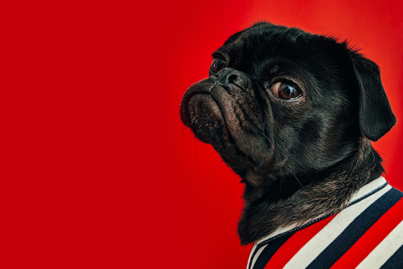 Как смеется мозг и почему хорошее чувство юмора помогает карьере и личной жизни Как смеется мозг и почему хорошее чувство юмора помогает карьере и личной жизни