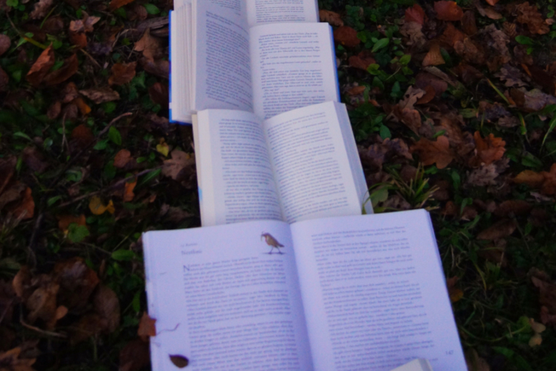 «Главное, что может дать чтение, — это контакт с собой» 