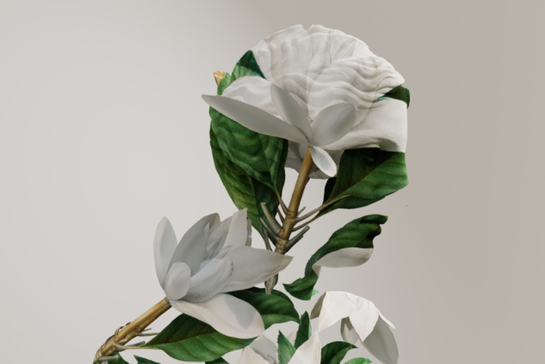 Эстетический интеллект: как развивать чувство прекрасного Эстетический интеллект: как развивать чувство прекрасного