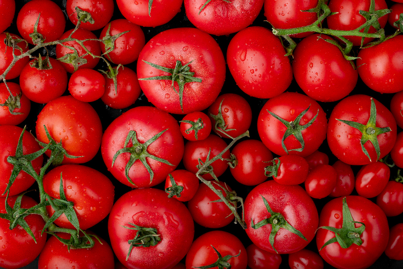 «Золотые плоды»: 6 фактов о помидорах «Золотые плоды»: 6 фактов о помидорах