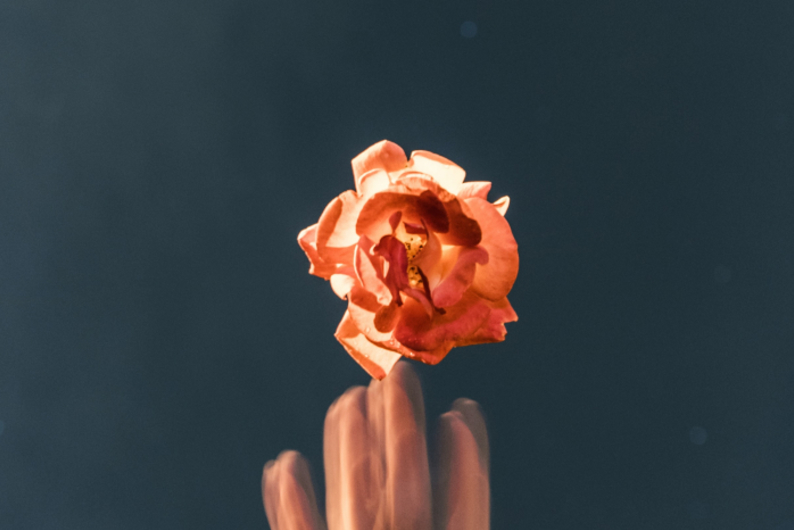 Виктор Франкл — о смысле жизни