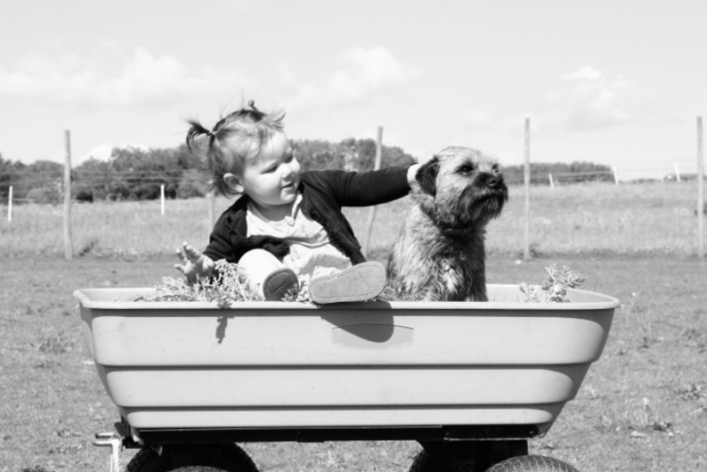 Больше чем дружба: что связывает человека и собаку Больше чем дружба: что связывает человека и собаку