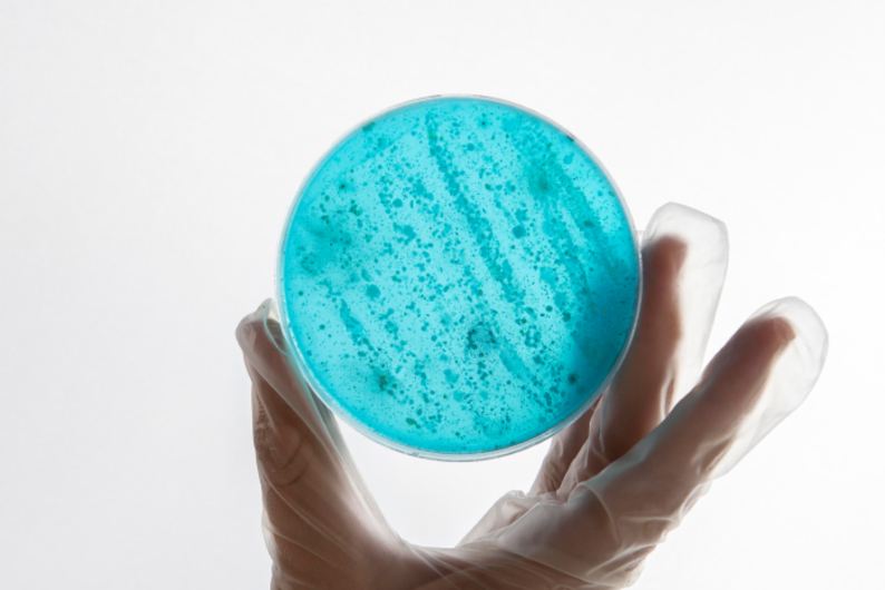 Что скрывают наши гены: как работают генетические тесты и когда они нужны Что скрывают наши гены: как работают генетические тесты и когда они нужны