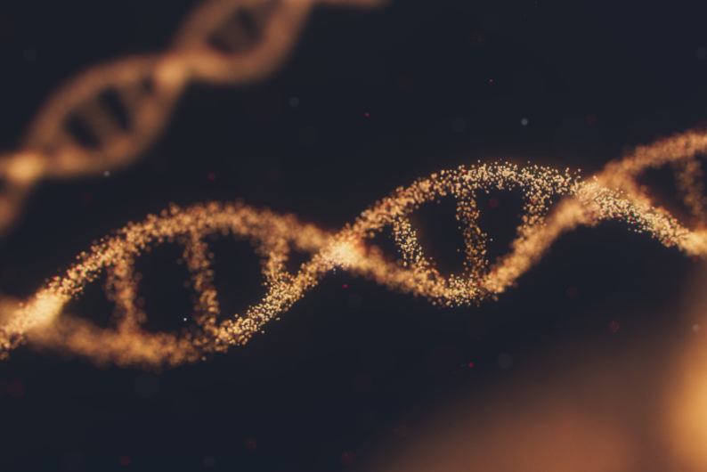 Необычное применение ДНК-тестов Необычное применение ДНК-тестов