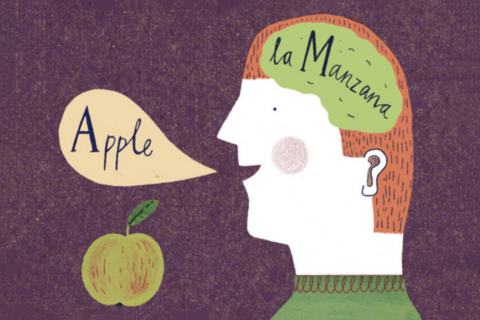 Как билингвы видят мир и при чем тут проблема вагонетки