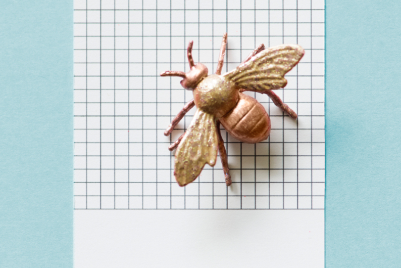 8 опасных насекомых, которых вы можете встретить на прогулке