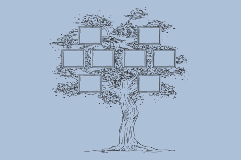 Не только ДНК-тест: какие сервисы помогут узнать о вашем происхождении