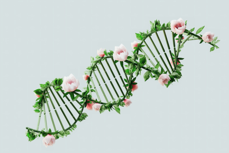 Искусство смотреть вверх. 10 привычек, которые помогут заметить жизнь вокруг